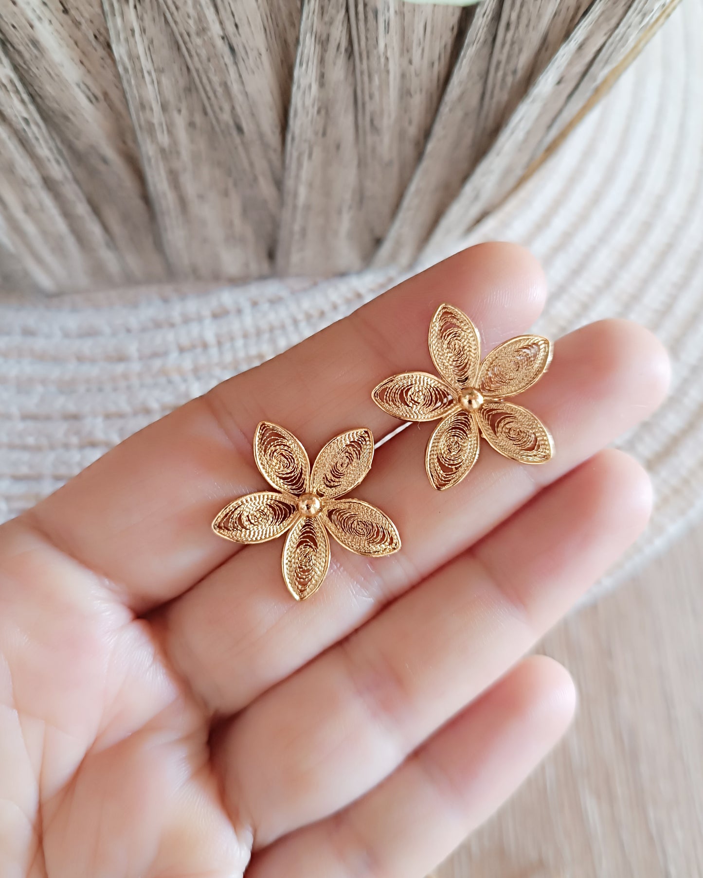 Aretes filigrana Paula
