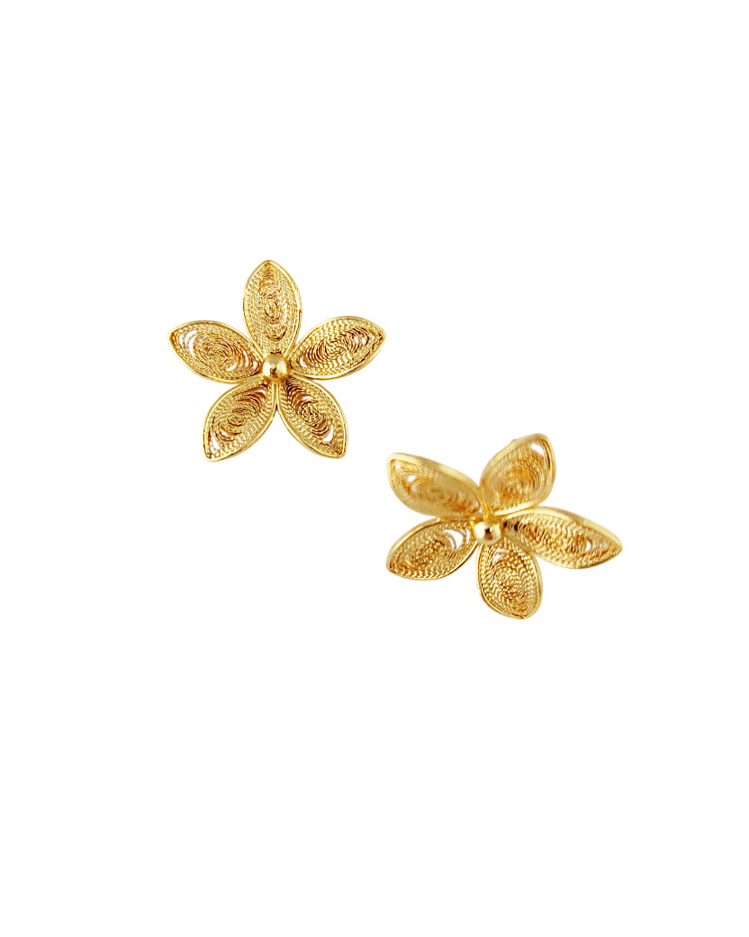 Aretes filigrana Paula