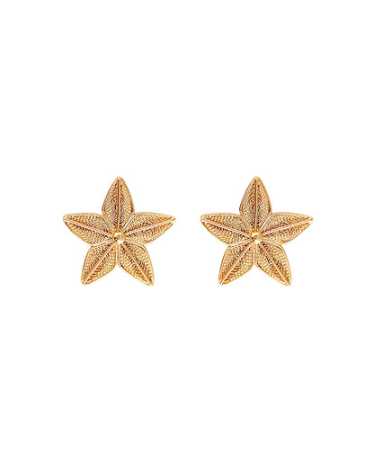 Aretes Estrella en filigrana