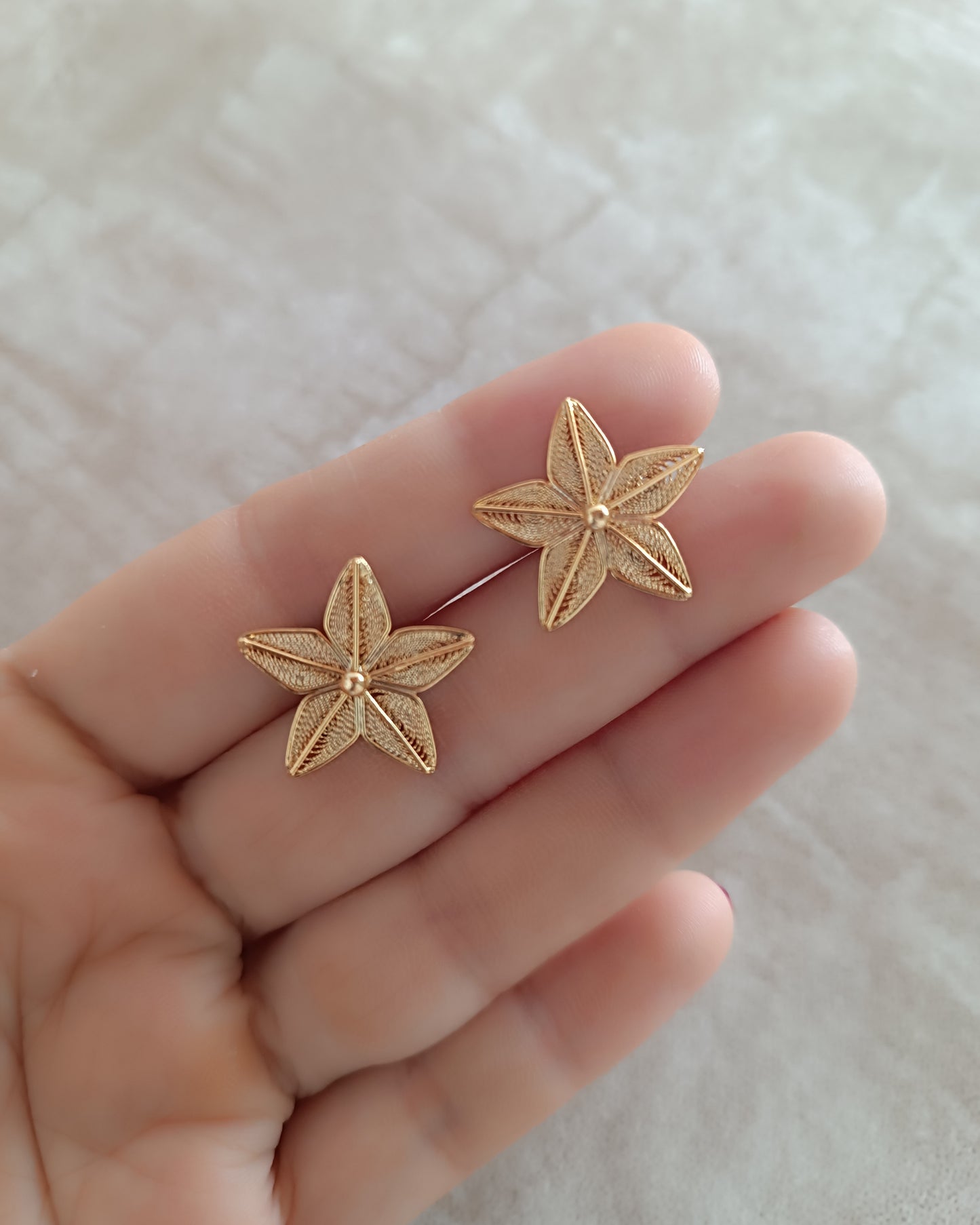 Aretes Estrella en filigrana