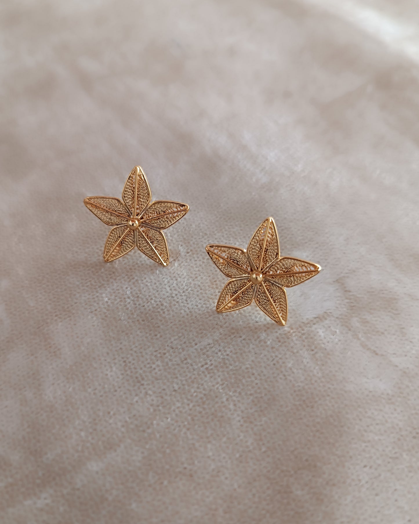 Aretes Estrella en filigrana