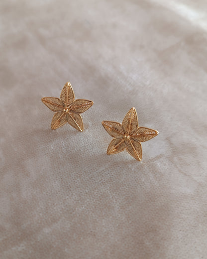 Aretes Estrella en filigrana