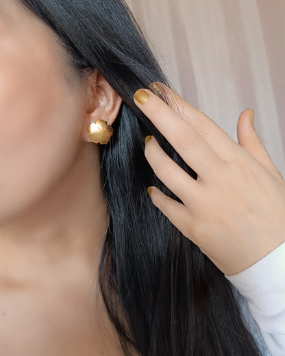 Aretes topos básicos Ninfa