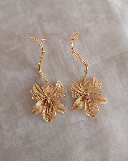 Aretes largos Orquídea, Bela