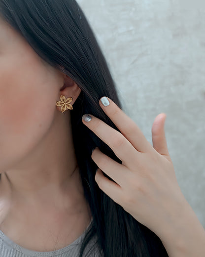 Aretes filigrana Paula