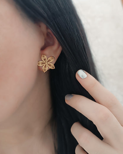Aretes filigrana Paula