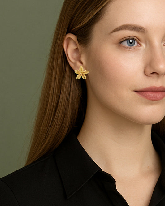 Aretes filigrana Paula
