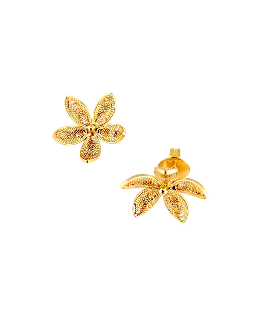 Aretes filigrana Danna